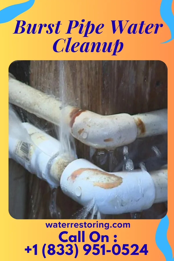 Burst Pipe Water Cleanup in Carson, IA