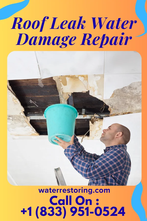 Roof Leak Water Damage Repair in Carson, IA
