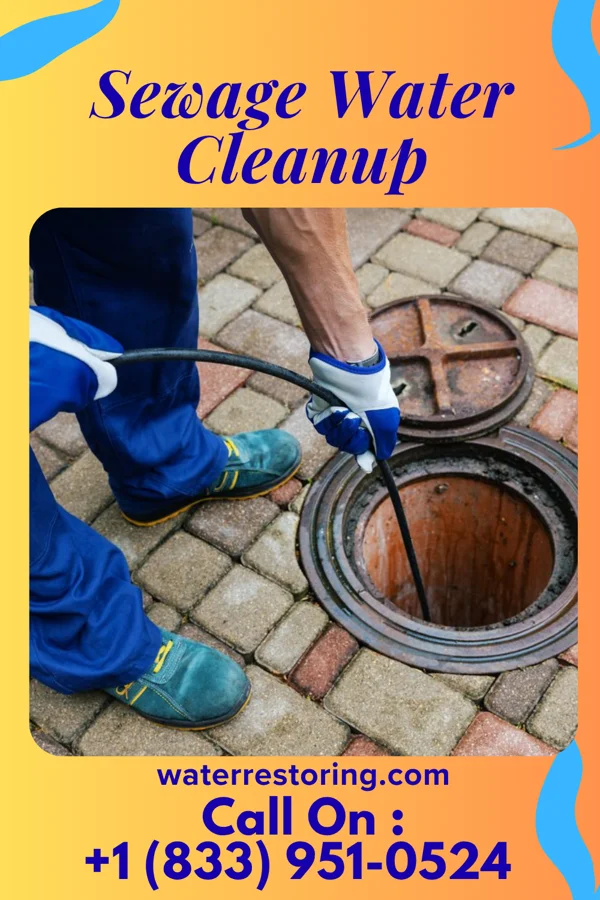 Sewage Water Cleanup in Carson, IA